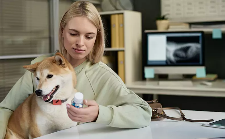 Pet-Friendly Flavoring